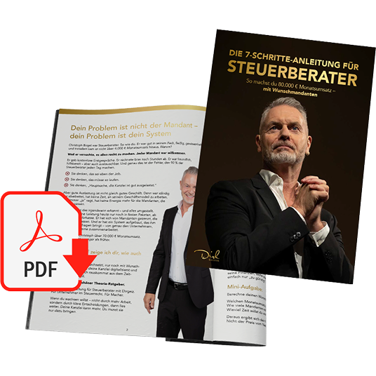 Steuerberater Anleitung Vorschau